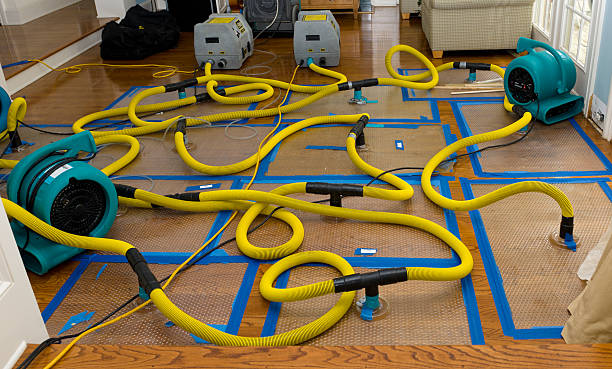 Professional Burst Pipe Water Damage technician working in Sorrento, LA